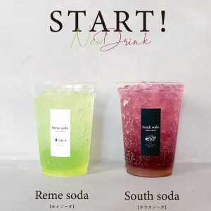 reme _south_soda
